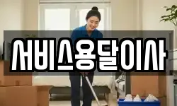 서비스용달이사