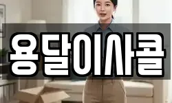 용달이사콜