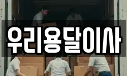 우리용달이사