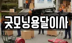 굿모닝용달이사