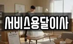 서비스용달이사