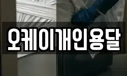 오케이개인용달