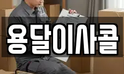 용달이사콜