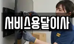 서비스용달이사