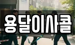 용달이사콜