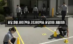 용달,화물,바이크탁송,오토바이탁송,용달이사,원룸이사