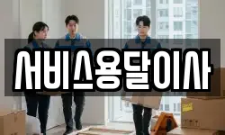 서비스용달이사