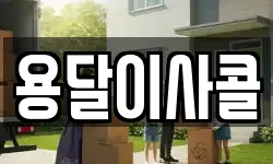 용달이사콜
