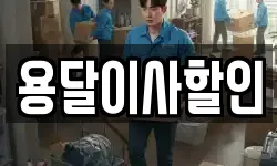 용달이사할인