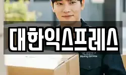 대한익스프레스