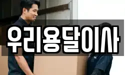 우리용달이사