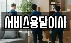 서비스용달이사