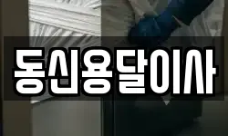 동신용달이사