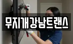 무지개강남트랜스