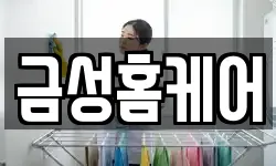 금성홈케어