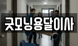 굿모닝용달이사