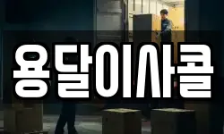 용달이사콜