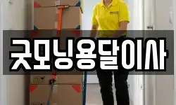 굿모닝용달이사