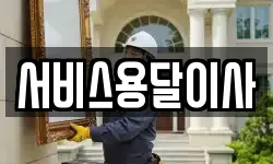 서비스용달이사