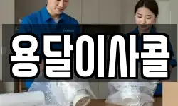 용달이사콜