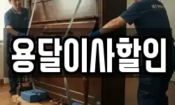 용달이사할인