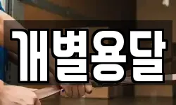 개별용달