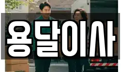 용달이사