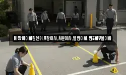 베짱이이사짐센터,포장이사,처분이사,일반이사,반포사무실이사