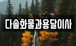 다솔화물과용달이사