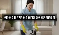 소파 청소 매트리스 청소 에어컨 청소 바른청년클린