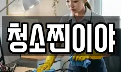 청소찐이야