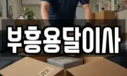 부흥용달이사
