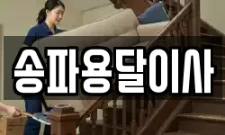 송파용달이사