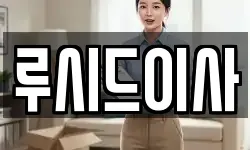 루시드이사
