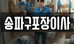 송파구포장이사