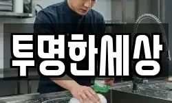 투명한세상