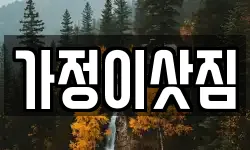 가정이삿짐