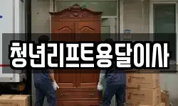 청년리프트용달이사