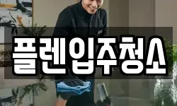 플렌입주청소