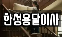 한성용달이사
