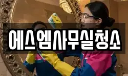 에스엠사무실청소