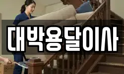 대박용달이사