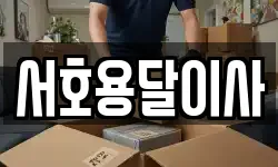 서호용달이사