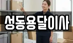 성동용달이사
