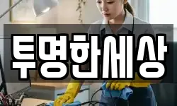 투명한세상