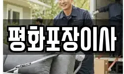 평화포장이사
