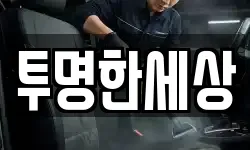투명한세상