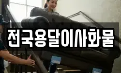 전국용달이사화물