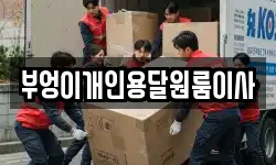 부엉이개인용달원룸이사