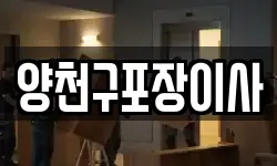 양천구포장이사